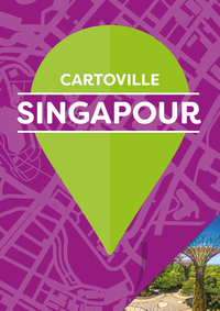 Picture of Singapour