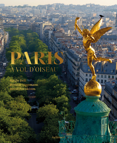 Picture of Paris à vol d'oiseau