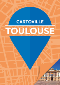 Picture of Toulouse