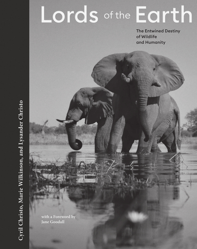 Image de LORDS OF THE EARTH