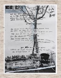 Image de Annemarieke van Drimmelen & Jasper KrabbE June /anglais