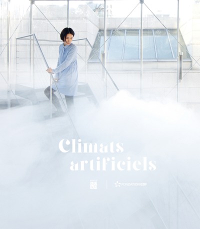 Picture of climats artificiels