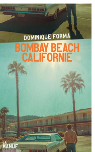 Picture of Bombay Beach Californie