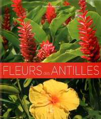Image de Fleurs des antilles