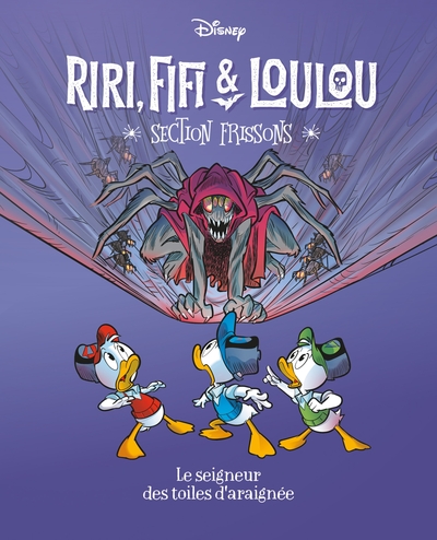 Image de Le seigneur des toiles d'araignées
