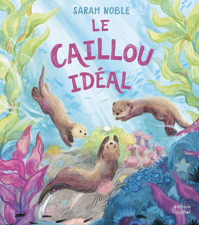 Image de Le Caillou idéal