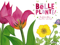 Picture of Une belle plante