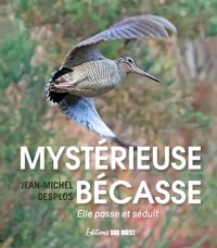 Picture of Mystérieuse bécasse