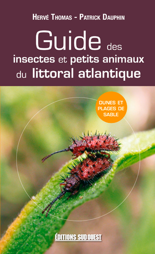 Image de Guide Des Insectes Du Littoral Atlantiq.