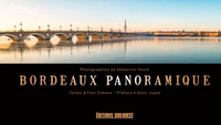 Picture of Bordeaux Panoramique