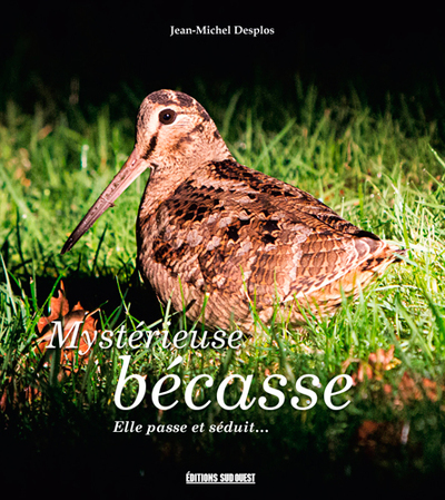 Image de Mysterieuse Becasse