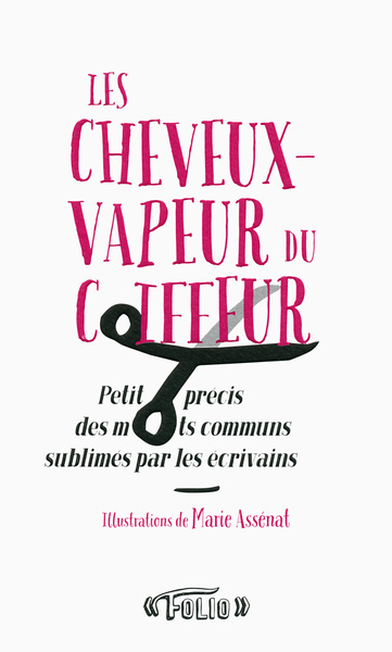 Picture of Les cheveux-vapeur du coiffeur
