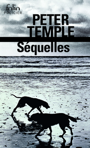 Picture of Séquelles