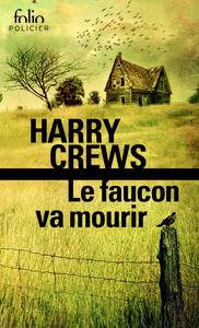 Image de Le faucon va mourir