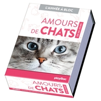 Image de Calendrier Amours de chats en 365 jours - L'Année à bloc