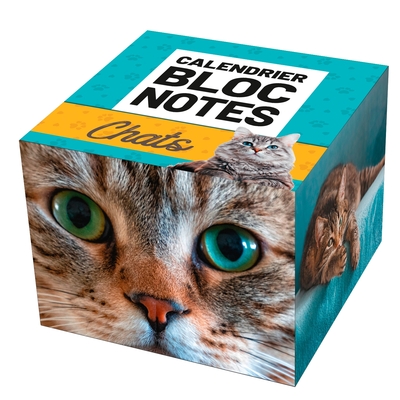 Picture of Calendrier Bloc notes Chats