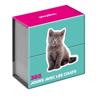 Picture of Mini calendrier - 365 jours avec les chats