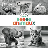 Image de Mon imagier photos - Les bébés animaux