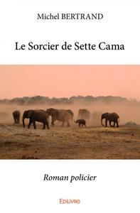 Image de Le sorcier de sette cama