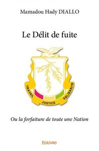 Image de Le délit de fuite