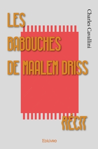 Picture of Les Babouches de Maalem Driss