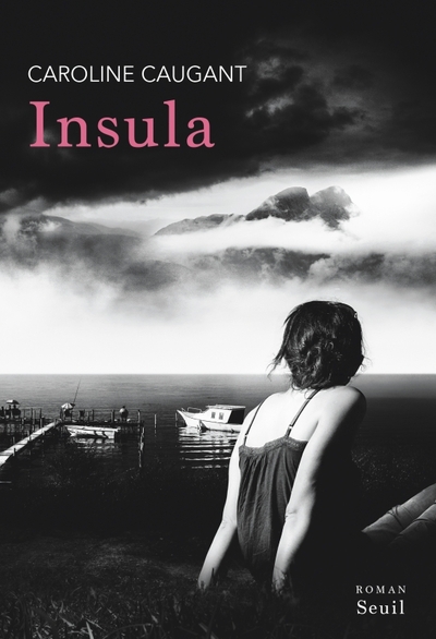 Picture of Insula