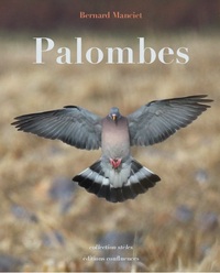 Picture of Palombes