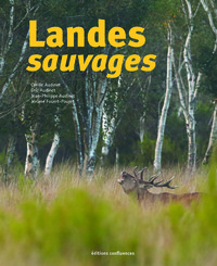 Picture of Landes sauvages