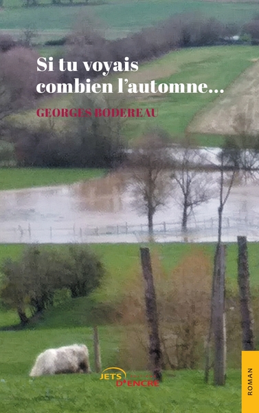 Picture of Si tu voyais combien l'automne...