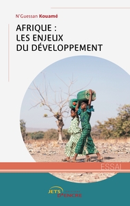 Picture of Afrique : les enjeux du développement