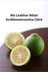 Image de Mo Leabhar Nótaí Scríbhneoireachta Cóiré