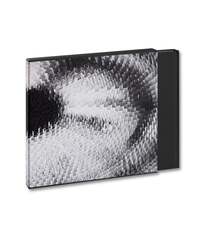 Picture of VISUAL SPACES OF TODAY ANDREAS GURSKY