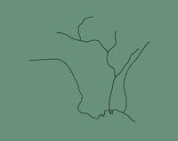 Image de The Western Edge