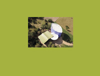 Image de TRIPLE FOLLY