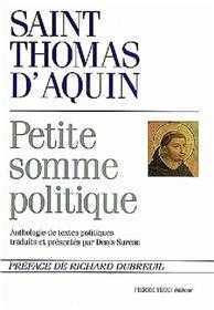 Picture of Petite somme politique