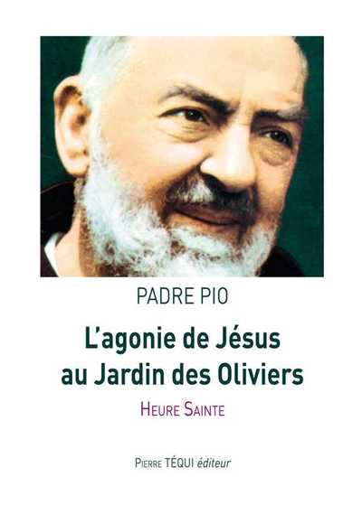 Image de L'agonie de Jésus au jardin des Oliviers
