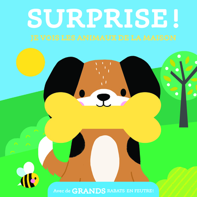 Image de Je vois les animaux de la maison / surprise