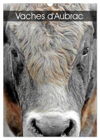 Image de Vaches d'Aubrac (Calendrier mural 2027 DIN A3 horizontal), CALVENDO calendrier mensuel