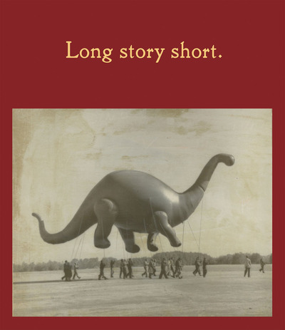 Picture of Long Story Short /anglais