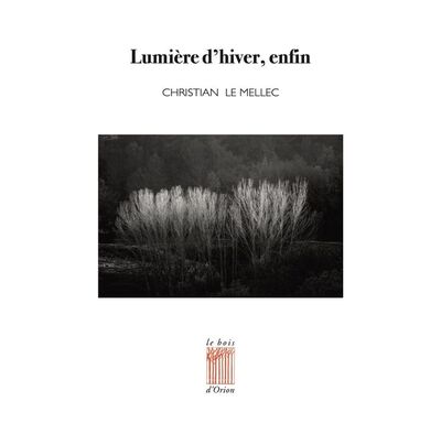 Picture of Lumière d'hiver, enfin