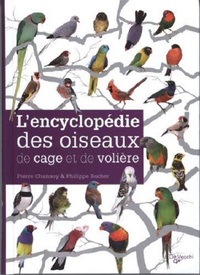 Image de ENCYCLOPEDIE DES OISEAUX