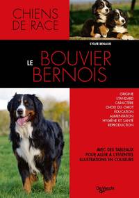 Image de BOUVIER BERNOIS