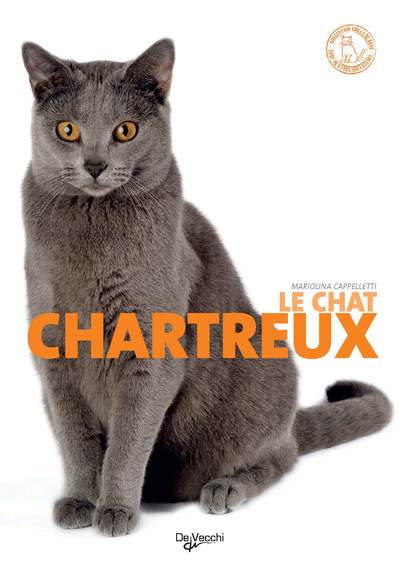 Image de CHAT CHARTREUX