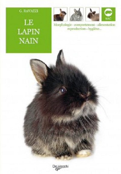Image de LAPIN NAIN