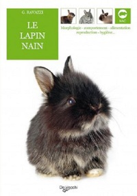 Image de LAPIN NAIN