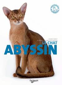 Image de CHAT ABYSSIN