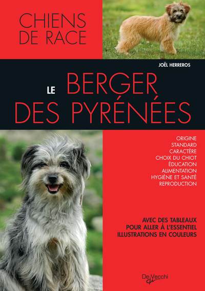 Image de BERGER DES PYRENNEES