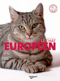 Image de CHAT EUROPEEN