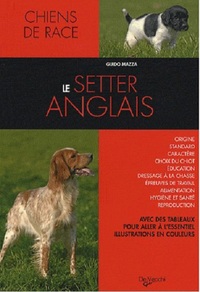 Image de SETTER ANGLAIS