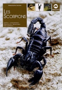 Image de SCORPIONS